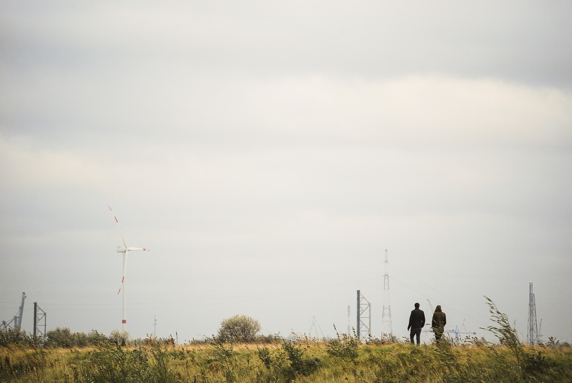 Two people walking together through a wide grassy field